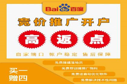 某品牌的信息流广告投放策略及效果展示